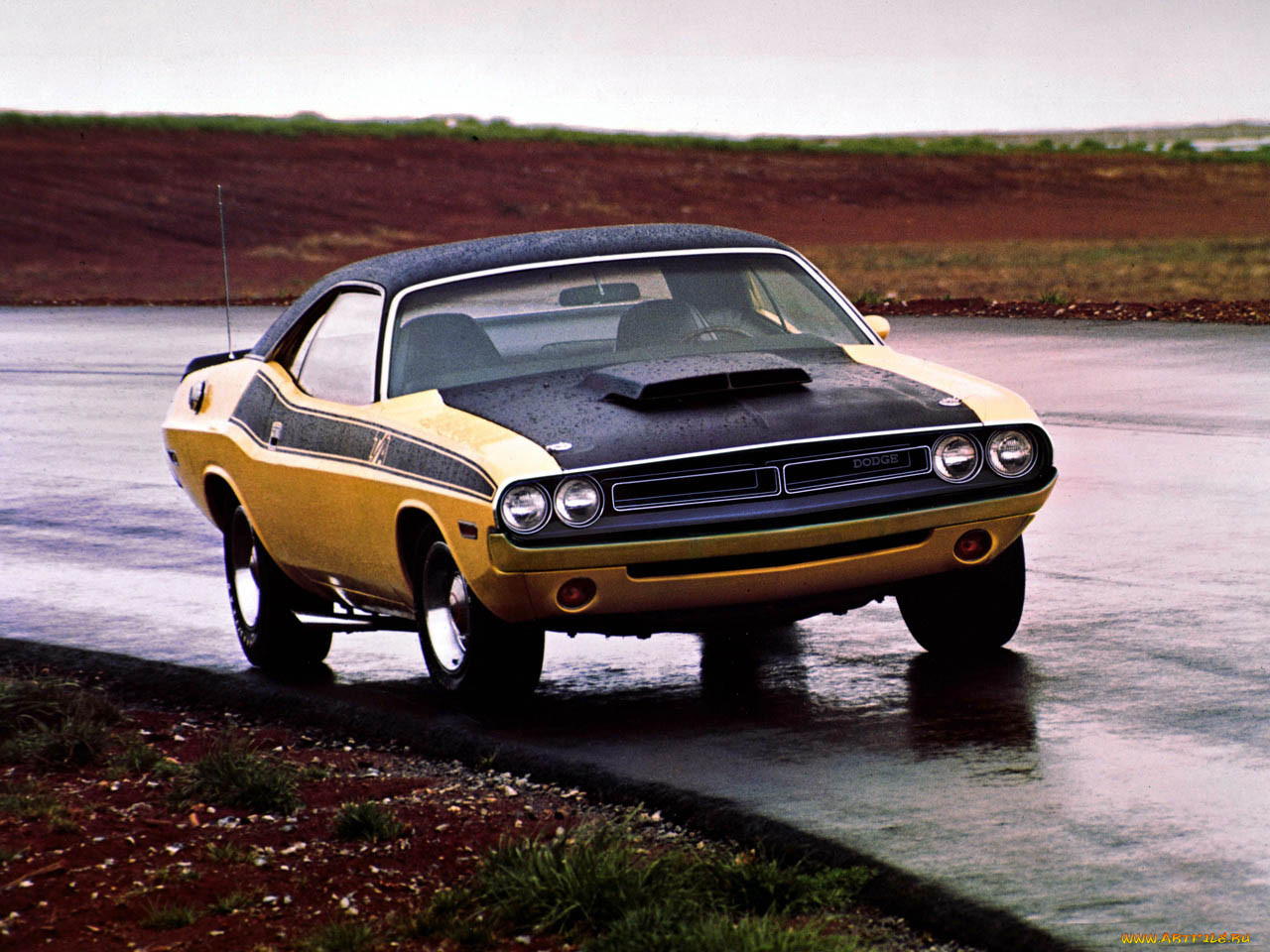 dodge, challenger, 